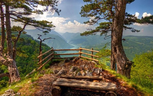 Tara-national-park-view